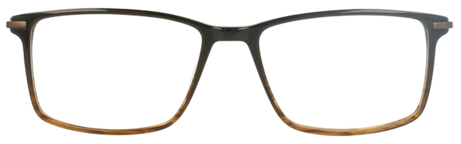 Argyleculture ARARDYN Eyeglasses - view 5